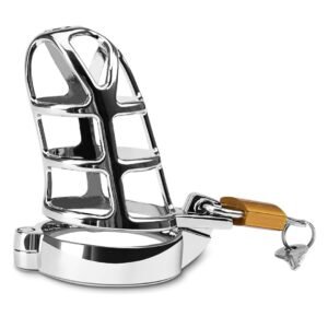 LOVEMEHONEY Male Cage Chastity Device with Lock – Beginner Stainless Steel Bondage Cock Cage for Men (50mm, Silver)